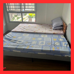 Blk 133C Plantation Grange (Tengah), HDB 5 Rooms #512959261